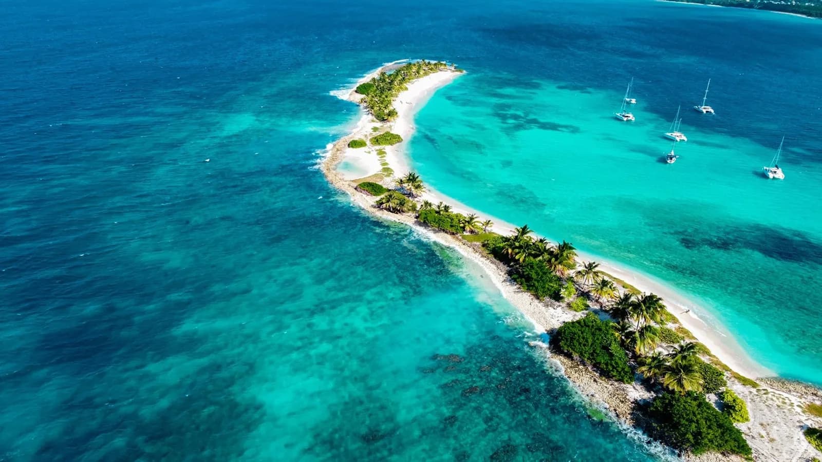 Catamarán por la mañana, masaje por la tarde: el día perfecto en Las Terrenas